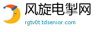 风旋电掣网